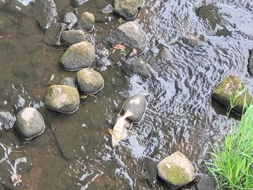 photo-273627.jpg