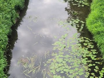 photo-273631.jpg